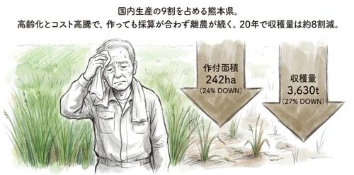 い草をつくる人が、足りない