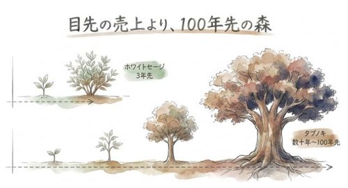 目先の売上より、100年先の森
